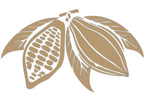 cacao