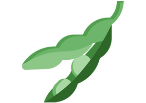 soja